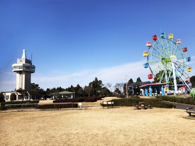 「ぷれタウンｉｎ城山公園の打ち合わせに行ってきたよ」