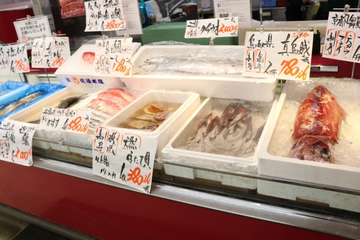 「八千代市、佐倉市の鮮魚店  　勝田台から徒歩10分　 魚や山粋（ヤマスイ)    地魚上物あります！」