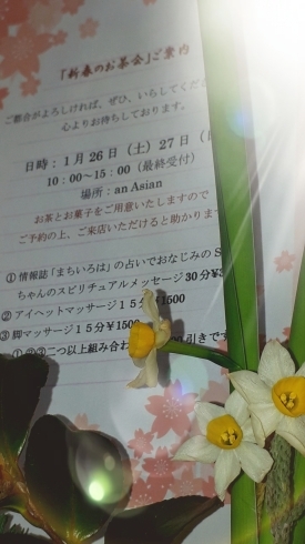 「26日27日！今年を占いませんか？」