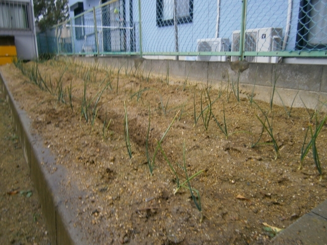 「今日は雨です！交野市　ディサービス　小林診療所　老人ホーム　」