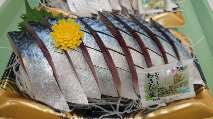 「八千代市、佐倉市の鮮魚店  　勝田台から徒歩10分　 魚や山粋（ヤマスイ)   自家製〆さば」