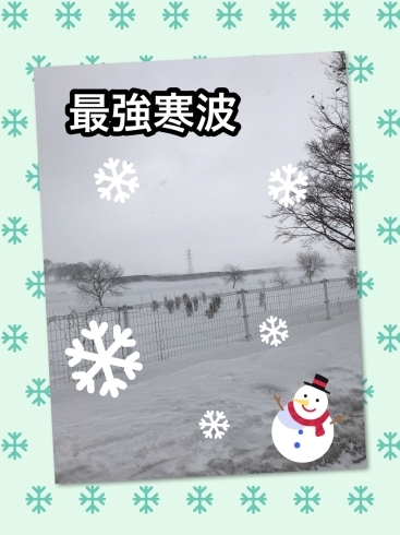 「ZOZO〜、最強寒波の中福島に向かってま〜す！」