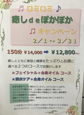 「2月1日からキャンペーンを実施します」