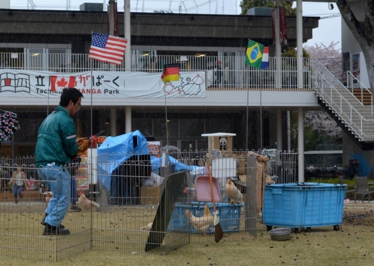 大急ぎで動物たちを非難させる係員さん。<br>頑張って！！<br><br>