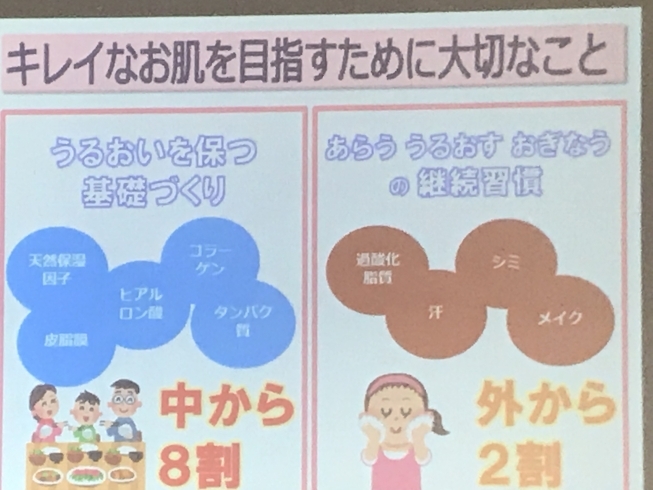 「お肌は中から8割外から2割」