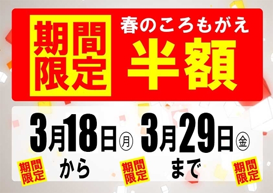 「【先行告知！】年に一度の半額キャンペーン★」