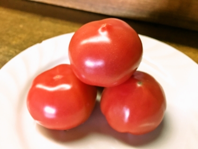 「地元国分の農家さんが作られた『国分トマト』も入荷しています♡」