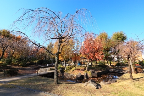 秋の景色　秋の静寂したせせらぎも良いものです。