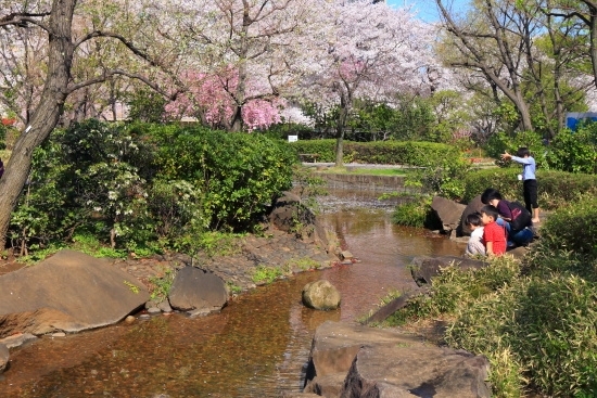 滝の水は水遊びができるせせらぎに流れます。