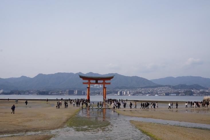 「厳島からの2ステップヒーリング終了しました。」