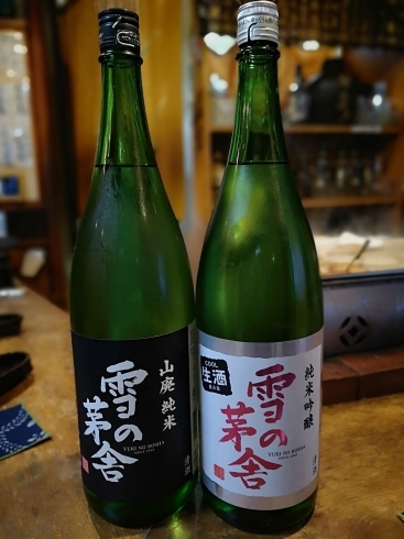 「春の日本酒が沢山入荷いたしました。」