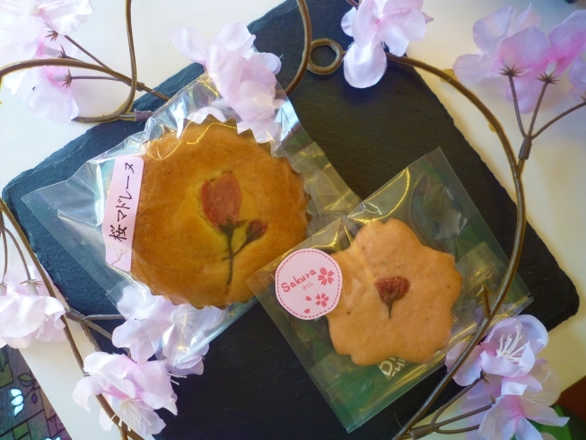 「桜のお菓子～伊奈町のケーキ屋シャンティ洋菓子店～」