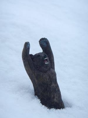 「冬眠から目覚めましたよ(o^^o)」