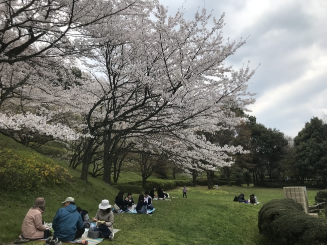 「新しい時代の元号が令和に決まりました。春季生徒募集中!」