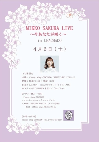 「【MIKKO SAKURA LIVE】フラワーショップ・フラワーアレンジメント教室・CHACHADO・周南市」