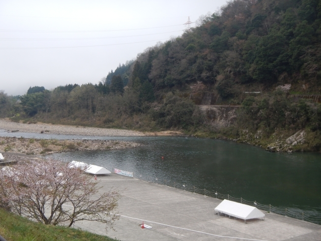 「2019桜杯カヌー大会、開催します」