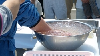 先ずは50℃～47℃のお湯へ切り身を入れてから冷水へ入れます。