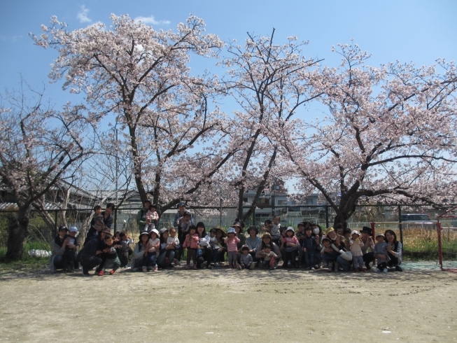 「４月初の園庭開放☆」