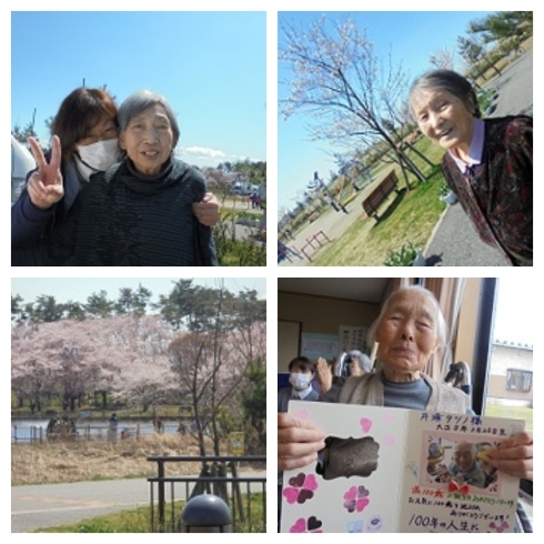 「春爛漫！　快晴の青空のもと「お花見ドライブ」へ行ってきました(*'▽')」