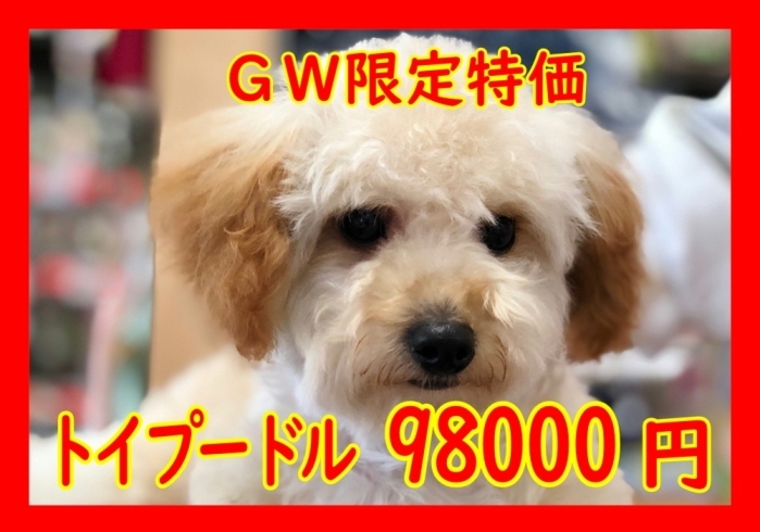 「GW休みのお知らせです♪」