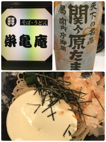 「そば処【栄亀庵】 季節限定 「濃厚豆腐そば」始めました！」