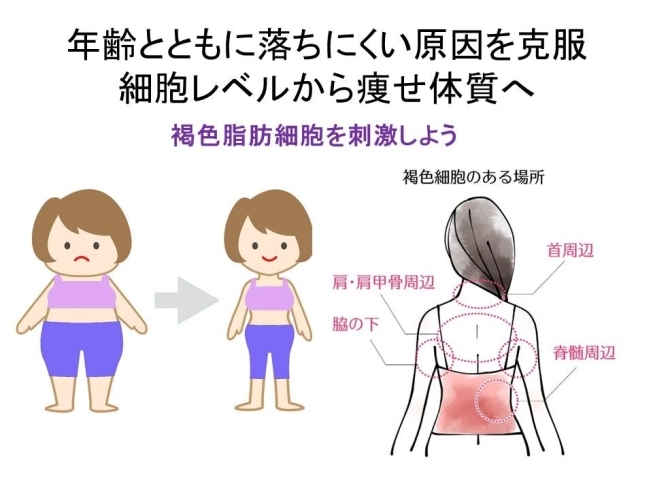 「30代からの体重が落ちにくい理由　細胞レベルから刺激を与える【女性専用】24時間ジムアワード」