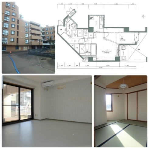 「賃貸マンション情報（宮内）」