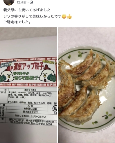 「香り爽やか青じそ鶏餃子が人気です。」