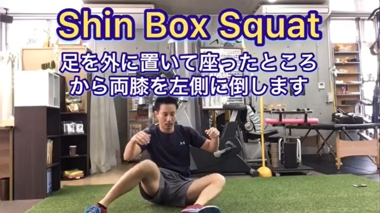 「【ホームエクササイズ】Shin Box SQ【行徳・南行徳でボディメイクできるパーソナルトレーニングジム】」