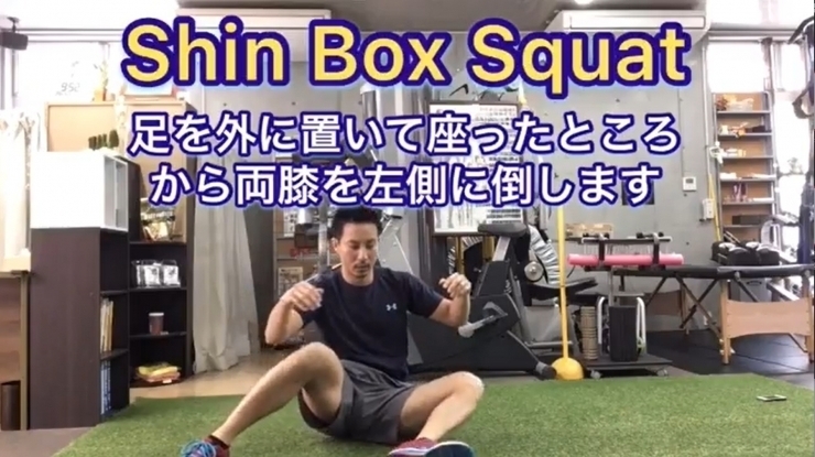 「【ホームエクササイズ】Shin Box SQ【本八幡・市川でボディメイクできるパーソナルトレーニングジム】」