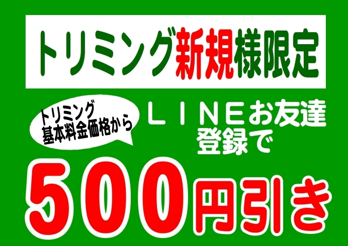 「ＬＩＮＥで500円OFF❤」