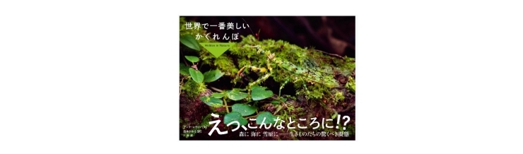 「書籍紹介『世界で一番美しいかくれんぼ』どうしてそうなったの？自然の創造と美しさにびっくり。」