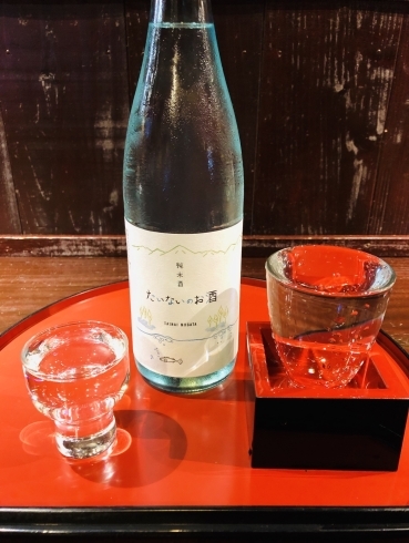 「【胎内市】【居酒屋】数量限定！新酒入荷！たいないのお酒」