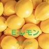 ⑤IEKかんの花卉株式会社