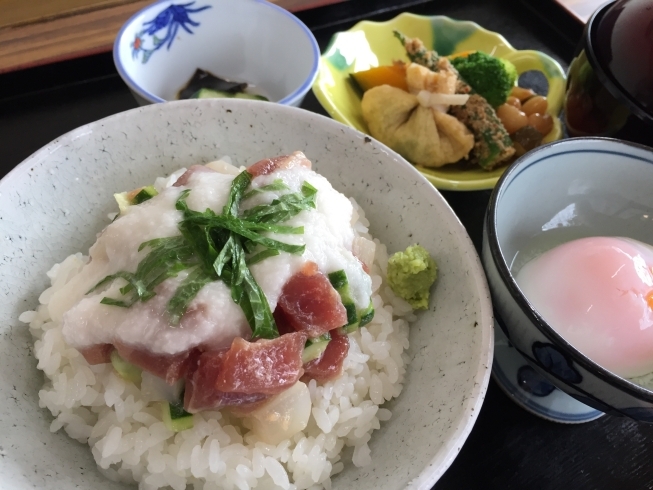 「京らぎ揖屋店『うまいもんランチ』」