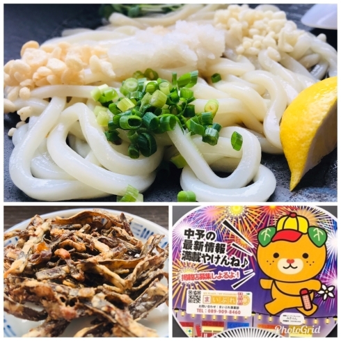 「夏期限定 冷やおろしうどん　／　鍋焼きうどん　mammam（まんま）」