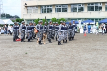 航空自衛隊による捜索救出訓練。シェパード犬がカッコよかったー！