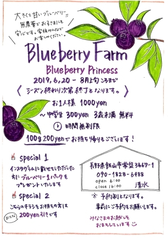 「Blueberry Princess（ブルーベリープリンセス）からの素敵なお知らせ！」