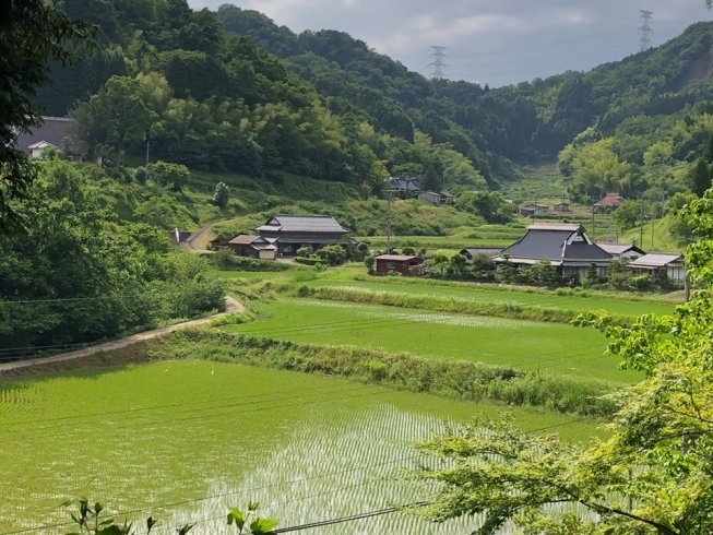 「【綾部の四季折々の風景　「星原の里山」】」