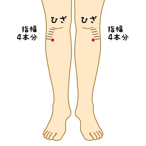 「みびょうち治療院から『久しぶりのツボの話』」