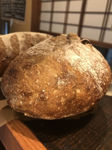 「食欲全開‼️◆今日のオススメはロデブ【長泉町　古民家　パン】」