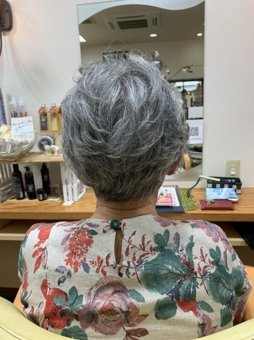 「 ＊憧れのグレーヘアになったものの、、、、＊」