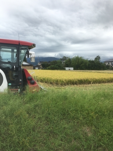 「米粉は富山県産」