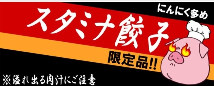 「スタミナ餃子が人気です！」