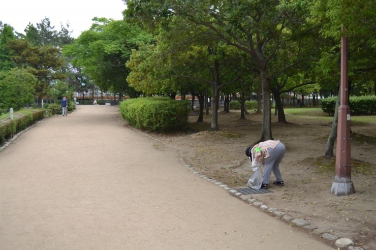 清掃活動ボランティアの様子です。<br>皆さん積極的に活動されてます！