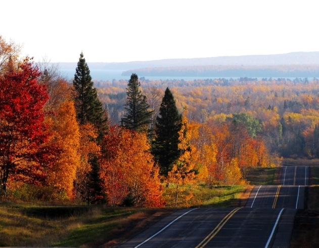 WISCONSIN州の紅葉　綺麗でしょう！「Teacher'sコーナー1号　Fall is upon us!　秋が来ました！【蘇我駅近くの英会話教室】043-209-2310」