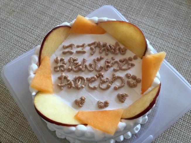 「広島市佐伯区美鈴園 ドッグコム．「Happy Birthday!!」」