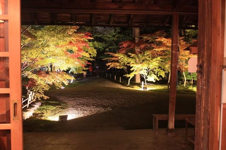 「11月の定休日」