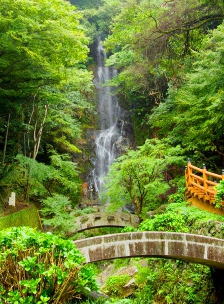 清水の滝は、全国名水百選に選ばれた清水川の上流部にあり、嘉瀬川につながる祇園川の支流で<br>す。高さ75m、幅13m、別名「珠簾の滝」。滝のそばには、清水にさらしたコイを料理した洗いや鯉こくを食べさせるコイ料理店が軒を連ねています。