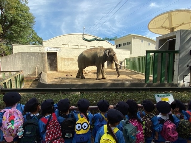 「王子動物園に行きました！」